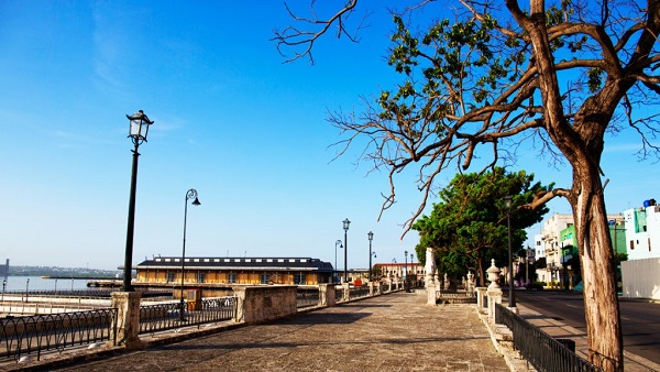 Hermosa vista de la Alameda de Paula.